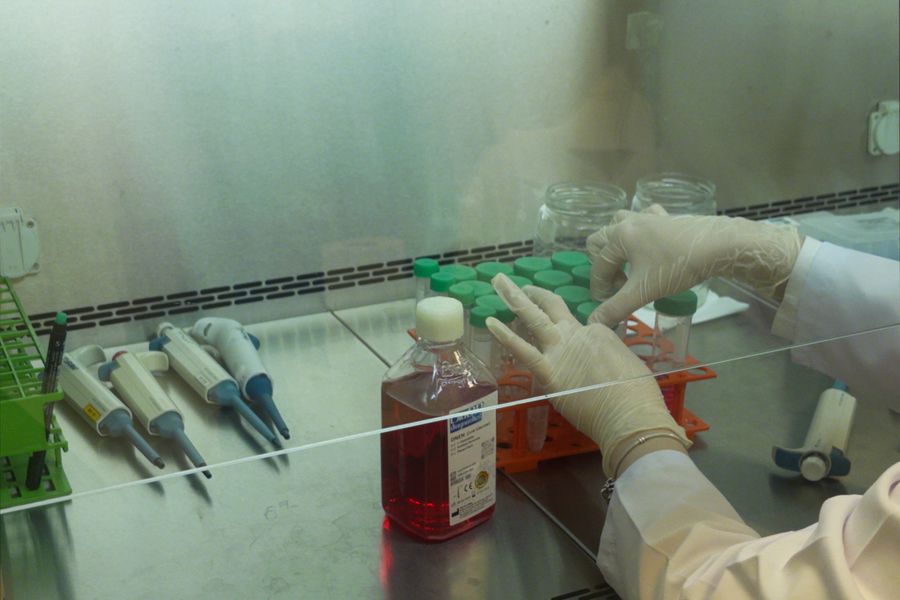 A laboratory technician handling cell culture equipment