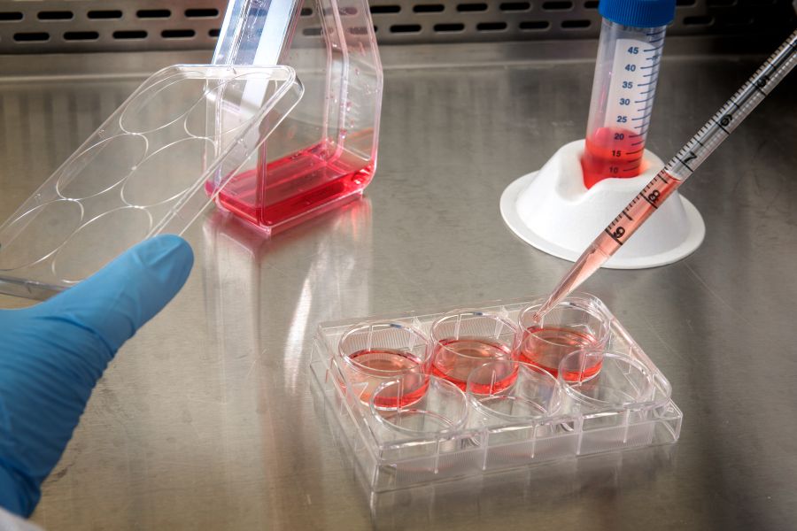 A researcher pipetting samples into a cell culture plate